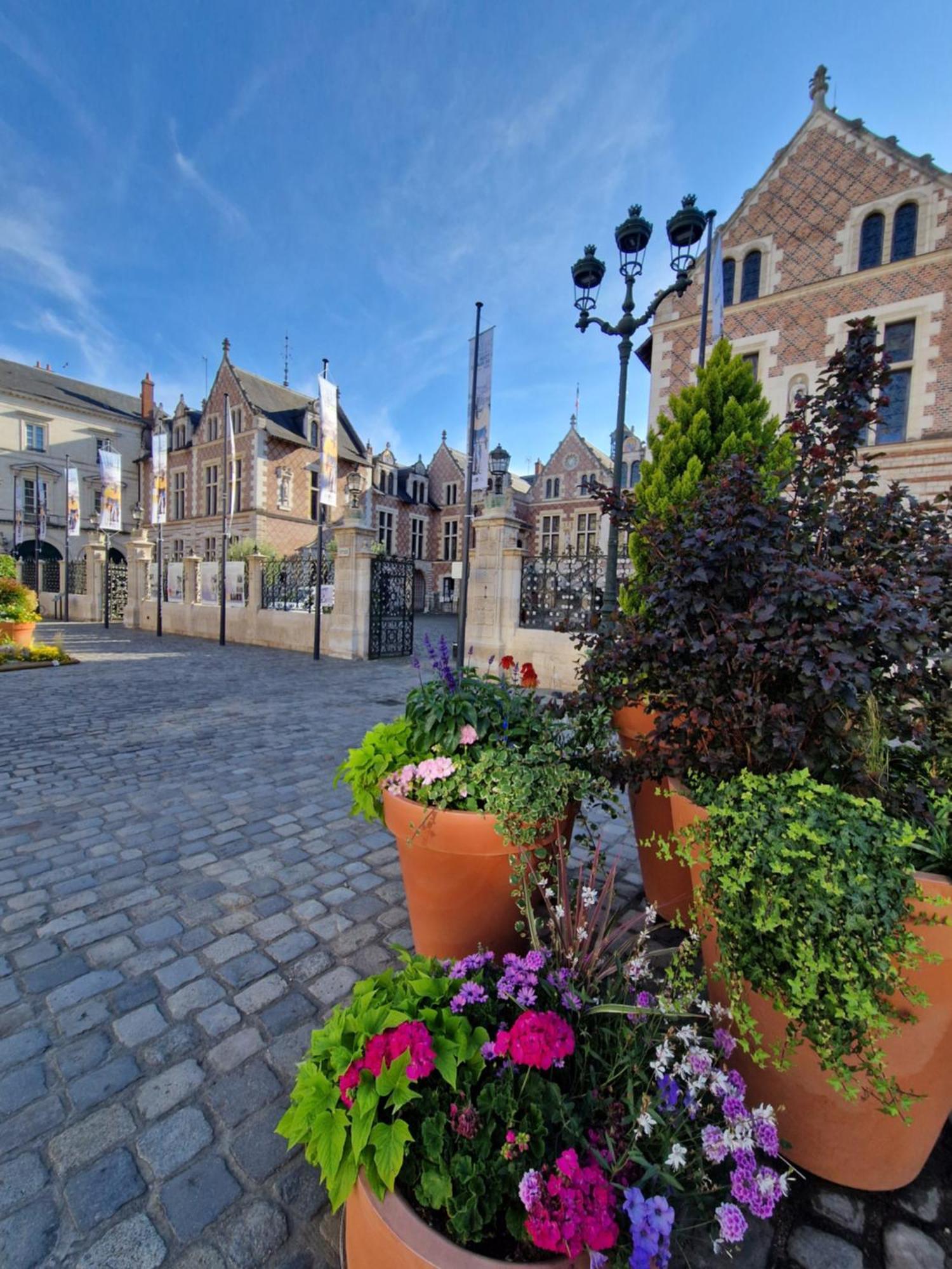 Bnb L'Orleanais Hyper Centre D'Orleans Proche Gare Parking エクステリア 写真